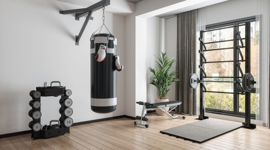 Home Gym With Barbell, Dumbbells, Boxing Bag And Other Sports Equipments